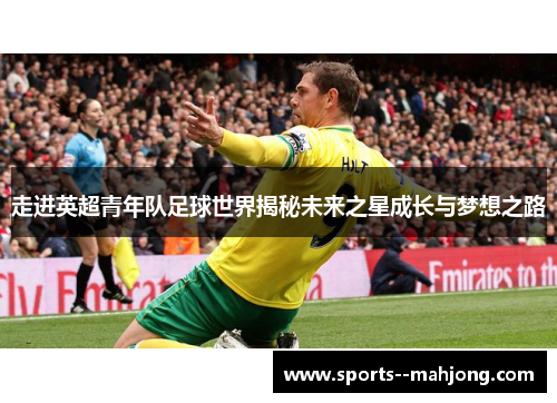 走进英超青年队足球世界揭秘未来之星成长与梦想之路
