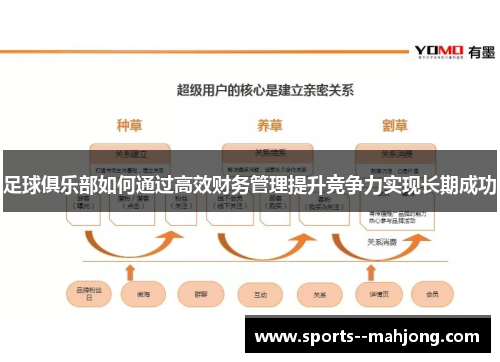 足球俱乐部如何通过高效财务管理提升竞争力实现长期成功 足球俱乐部如何通过高效财务管理提升竞争力实现长期成功