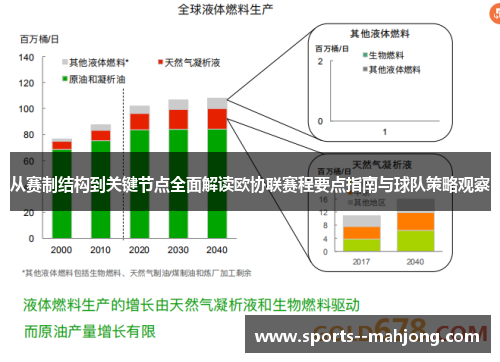 从赛制结构到关键节点全面解读欧协联赛程要点指南与球队策略观察